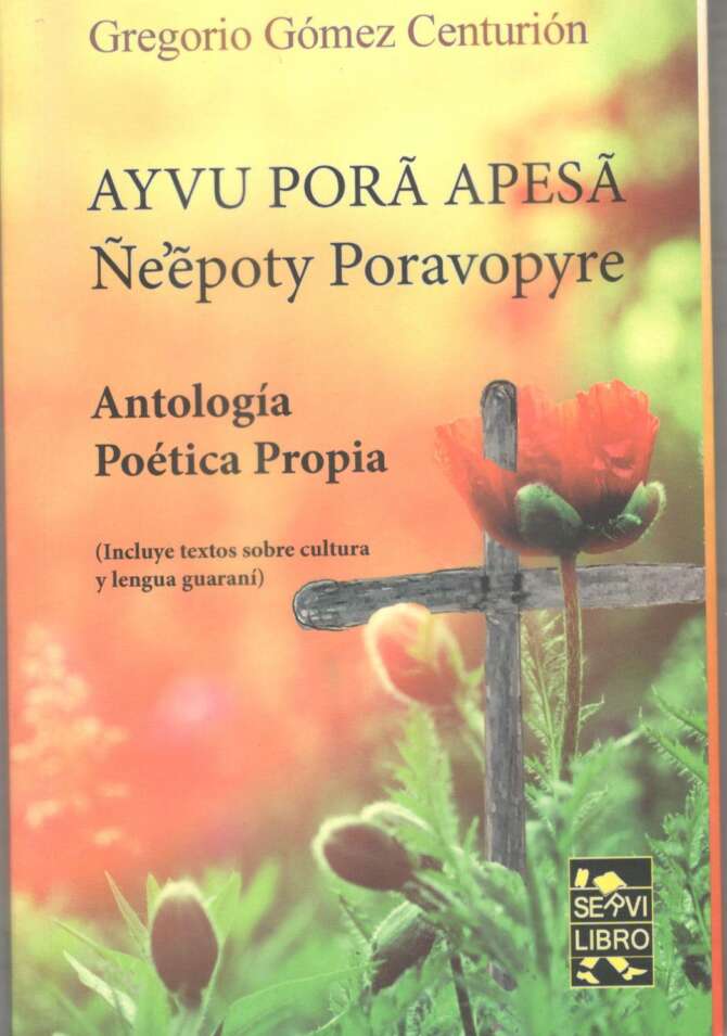 Ayvu Pora Apesa Ñe´epoty Poravopyre